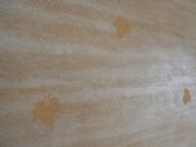 ���Ϲ����๩���� ���ݹ������S��