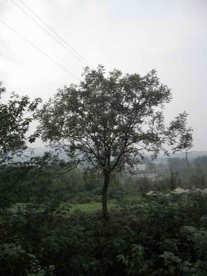 �S�Bľ�r��