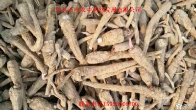 ���ƷN�����l(f��)����ă�(y��u)�|(zh��)�����C