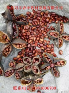 ���ɳ��ַN���R�R�������ַN��ںӳ��ַN��