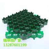 ��������ͨ��ֲ�ݸ�r��