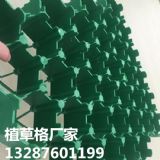 ������������ֲ�ݸ�r��