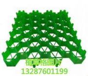 ͣ܇���G��ֲ�ݸ�