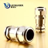 ����ܛ����|���^  pa����|���^