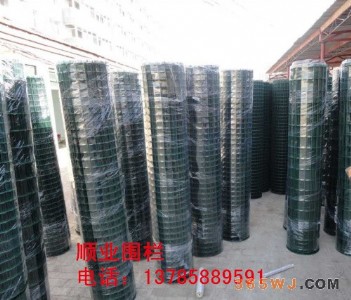 ���׾W(w��ng)�����@�F�z�W(w��ng)�������F�z�W(w��ng)