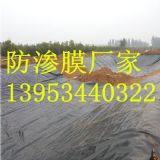 ɽ������1.0mmβ�V�η��BĤ�S��