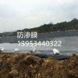 �Ĵ�ȫ�����~���Bֳ���BĤҎ����