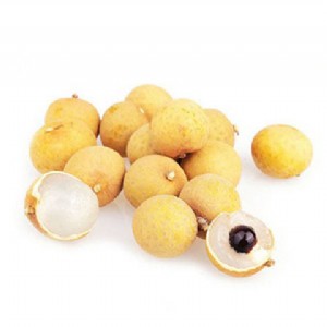 �Ļ��f�R�@����