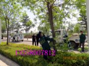 �����f�����