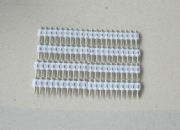 ��˹��ᔡ�22��˹��ᔡ���25��˹���