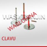 CLAVU �^�����