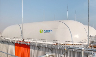 �f���pĤ���WD65