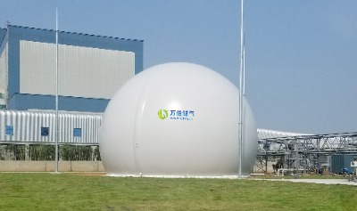 �f���pĤ�����WD68S