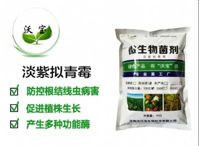 ���ϔM��ù �����Y(ji��)���x���Ҿ��x �����ޏ�(f��)�Ϲ��߲˷Nֲ�����