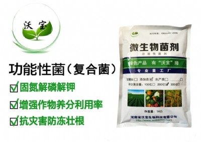 ���ܾ����̵����׽�⛾� ������������Ӿ� �Bֳ�Nֲ���߷���