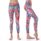 Ʒ���٤���\(ch��ng)�д�����������\�]�٤�����l(f��)