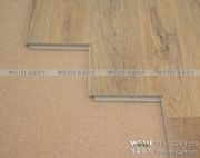 ����(y��ng)ܛľ�؉|(�D)