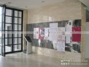 ܛľ����Ƭ��