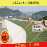 �����������l(f��)�� ߅�¾G��ֲ���o�� �����������l(f��)�r