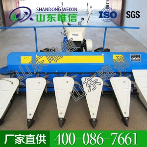 �������C  �������C��̖�Rȫ  �r�I�Cе�O��