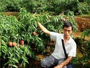 �����ָ��� �����V�����ݵ��n��������