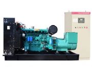 �ϲ�300ǧ�߲��Ͱl늙C�M �Ƶ�����Դ 300kw�l늙C