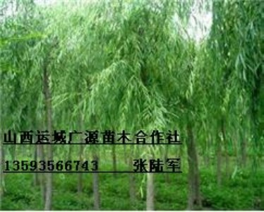 7��8���ִ�����z���ĺ�������