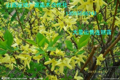 �B�N�硢ˎ���B�N�����