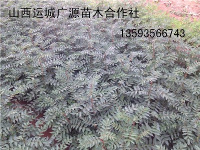 �����硢1���������硢���������