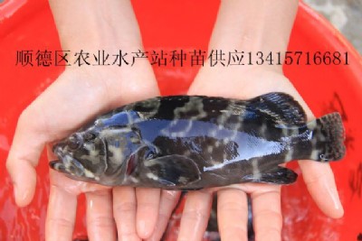 ��ˮ���O�~��