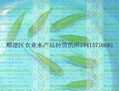 ������~�硢�������~��