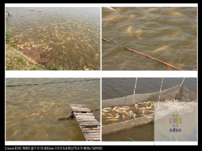 ����~�����Xһ��