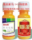 ���ΰ׷�ʭ��Чˎ �\�ݰ׷�ʭˎ �P�\�׷�ʭ������Ч�rˎ