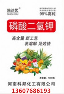 ����(y��ng)�ߝ����������