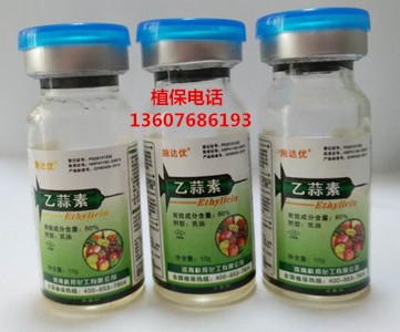 �B�Ƹ��߲˚����������� �����������������������