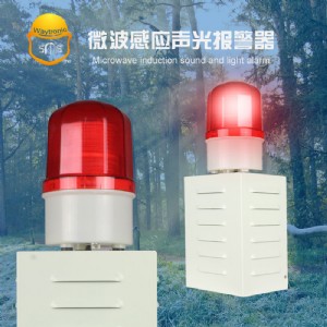 Ψ���������ɭ�ַ����Z�����