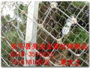 �o�ھW(w��ng)ϵ��