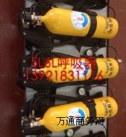 6L��������ʽ�՚������