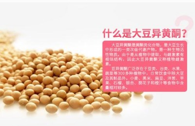 �󶹮��Sͪ�z�Ҵ��Լ���oem�ӹ������N��