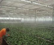 ����(y��ng)������O(sh��)�� ����ӝ��O(sh��)��(�D)