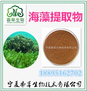 ������ȡ�������ܷۡ������s��������������������