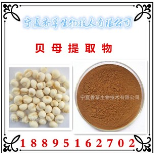 ؐĸ��ȡ�ؐĸ���ۡ�֪ĸ���ܷۡ���s�ۡ�����