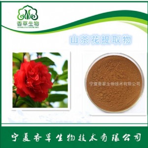 ɽ�軨��ȡ�� 20:1Ŀ��80-100 ɽ�軨��߰ ɽ�軨��