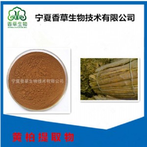 �S����ȡ�� �}��С�މA �S�B�� ���|�S��Ƥ�����  ��s��