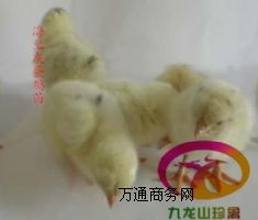 �F�ݵ��u��-���m�ҵ��u��-��a(ch��n)��300����