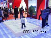 ���滥��ͶӰ���^�w�(�D)