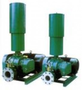 �ϑc�_�Ĺ��L(f��ng)�C_��ʢ�Cе_�|(zh��)��(y��u)�r���_�Ĺ��L(f��ng)�C