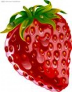 B-3989���w�����Ա�ϩ���֬