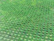 ���ݸ���ֲ�ݵ�ƺ�r(ji��)�񡢏S��_�����]���B�T����ه������ֲ�ݵ�ƺ�S��