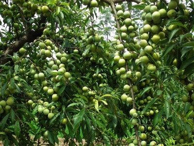 �d�������dꖣ��d����������c(di��n)���d�������r(ji��)��